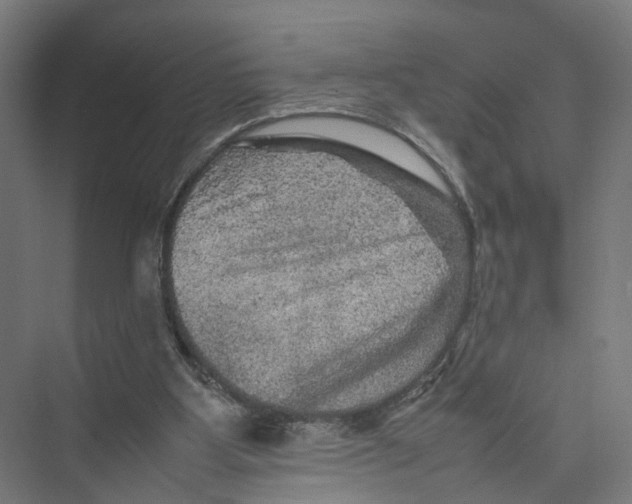 X0000075380107200610061849