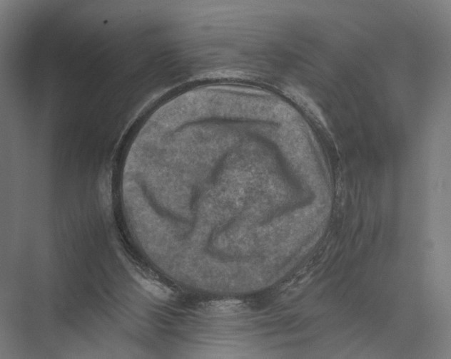 X0000075380108200610061849