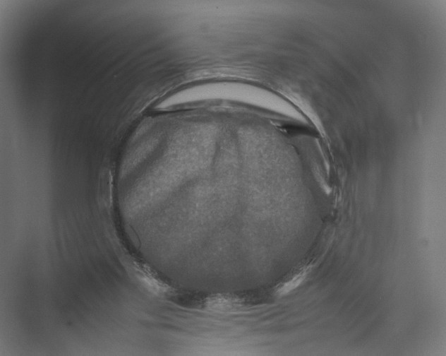 X0000075380109200610061849