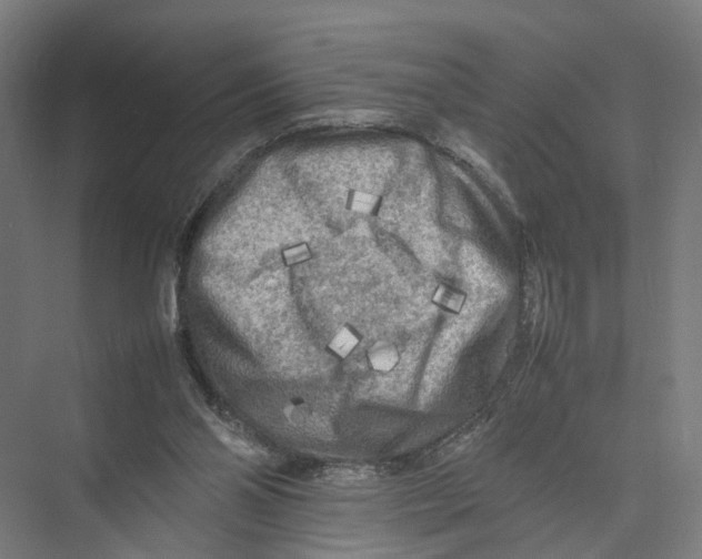 X0000075380110200610061849