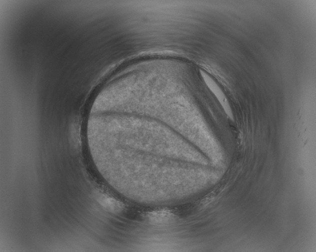 X0000075380112200610061849