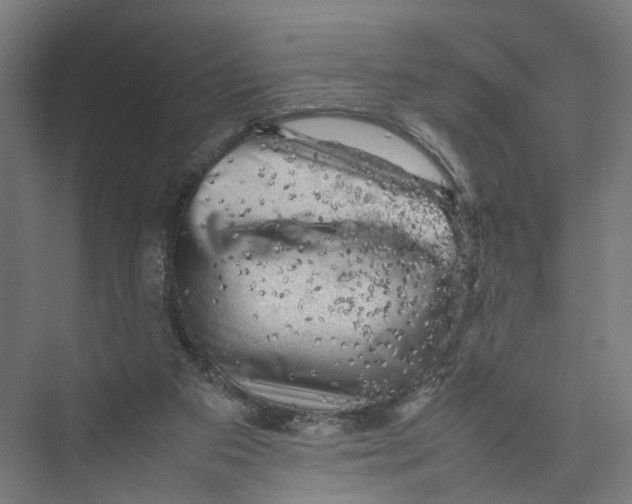 X0000075380113200610061849