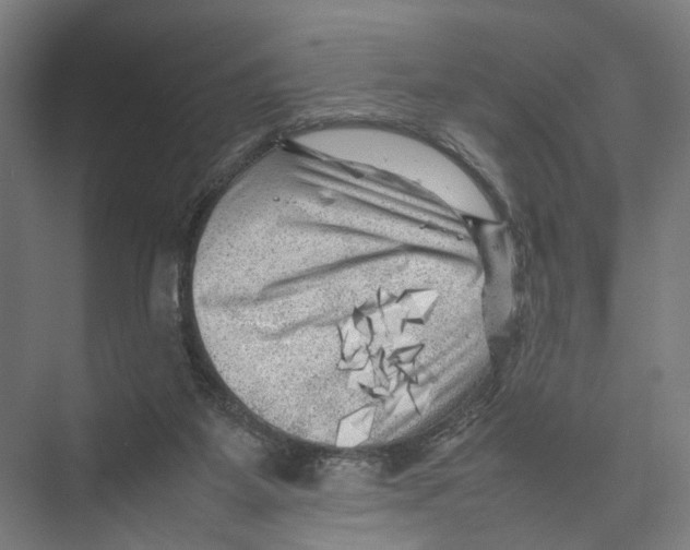 X0000075380115200610061849