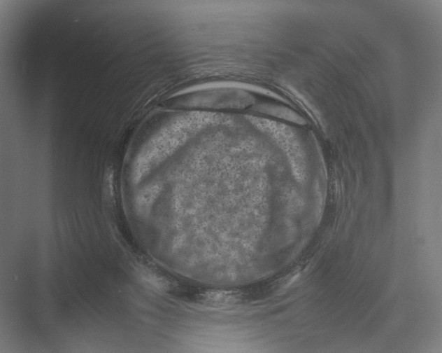 X0000075380117200610061849