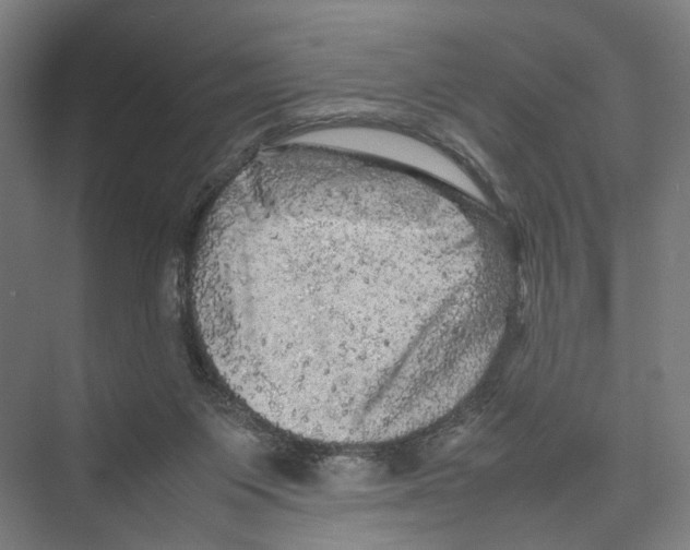 X0000075380119200610061849