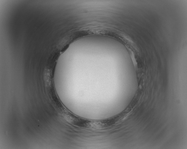 X0000075380121200610061849