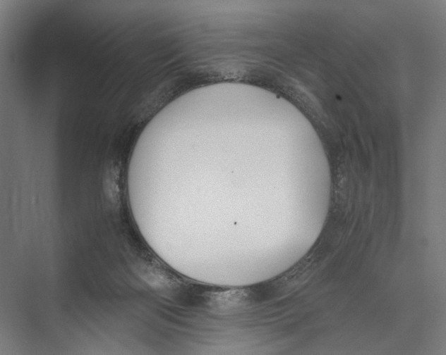 X0000075380122200610061849