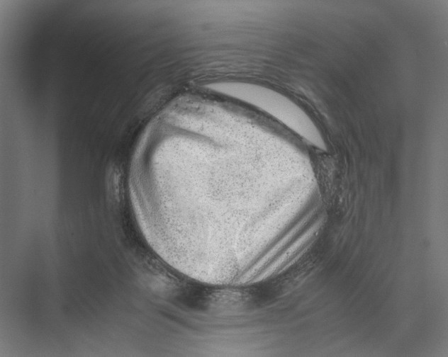 X0000075380123200610061849