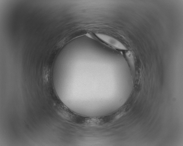 X0000075380125200610061849