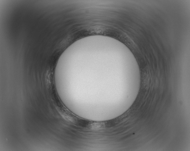 X0000075380126200610061849