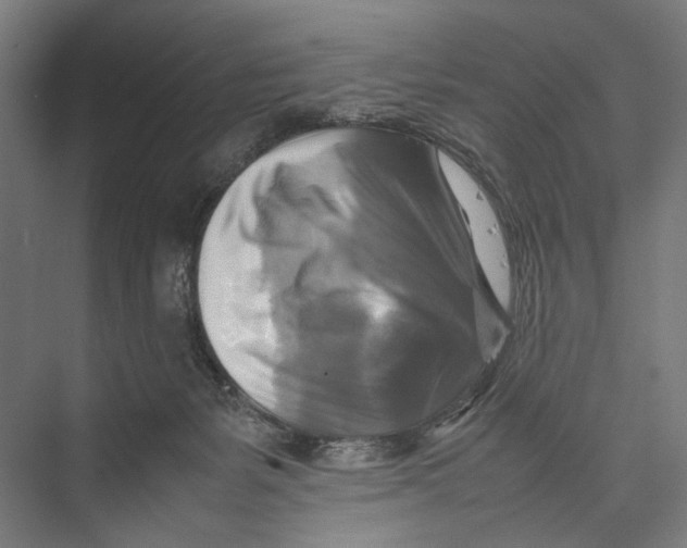 X0000075380127200610061849