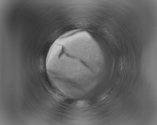 X0000075380130200610061849