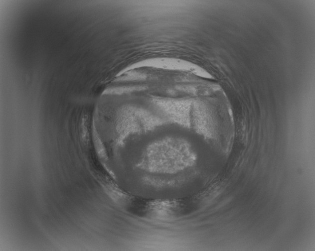 X0000075380131200610061849