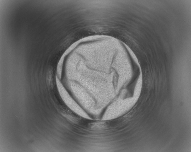 X0000075380132200610061849