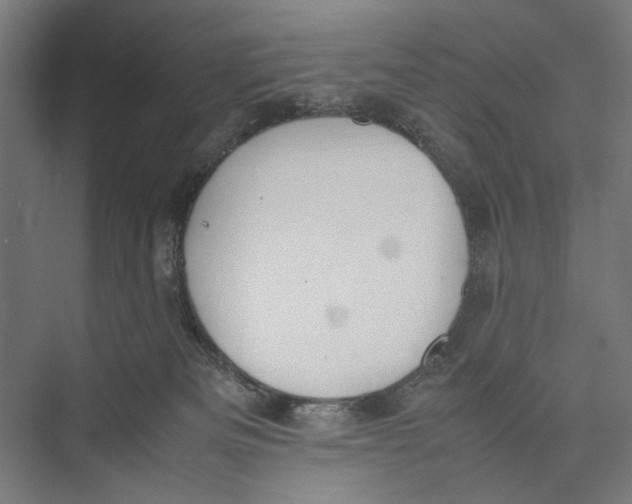 X0000075380133200610061848