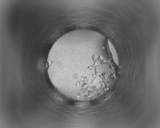 X0000075380135200610061848