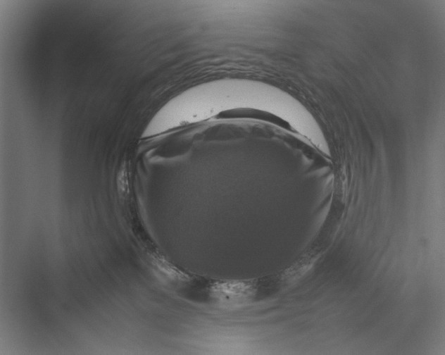 X0000075380137200610061848