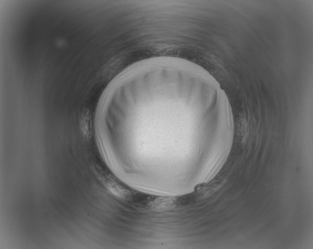 X0000075380138200610061848