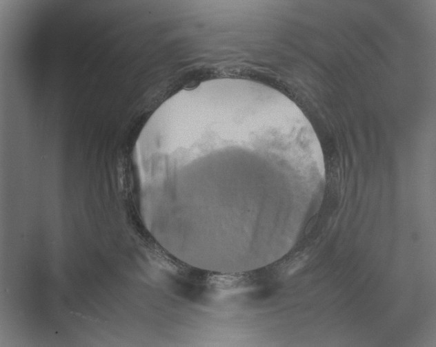 X0000075380139200610061848