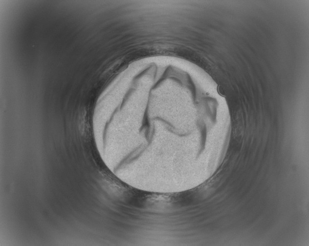 X0000075380140200610061848