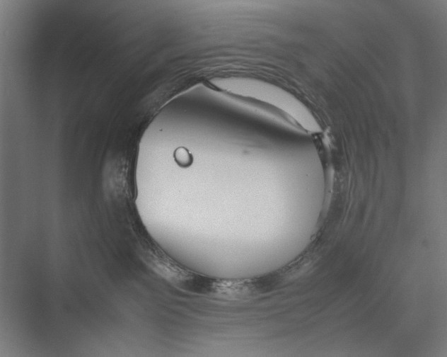 X0000075380141200610061848