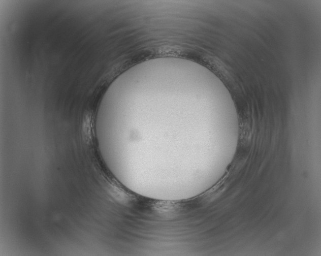 X0000075380142200610061848