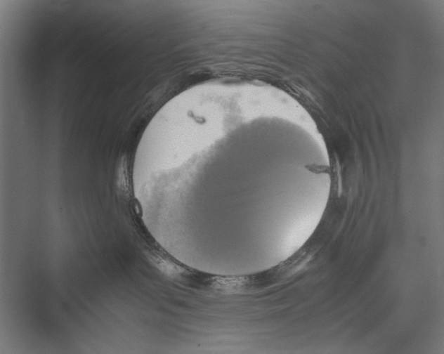 X0000075380143200610061848