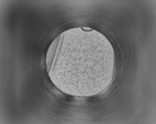 X0000075380144200610061848