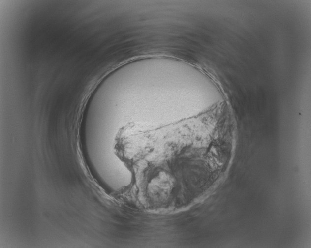 X0000075380145200610061848