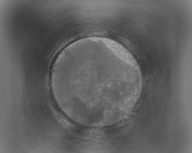 X0000075380146200610061848