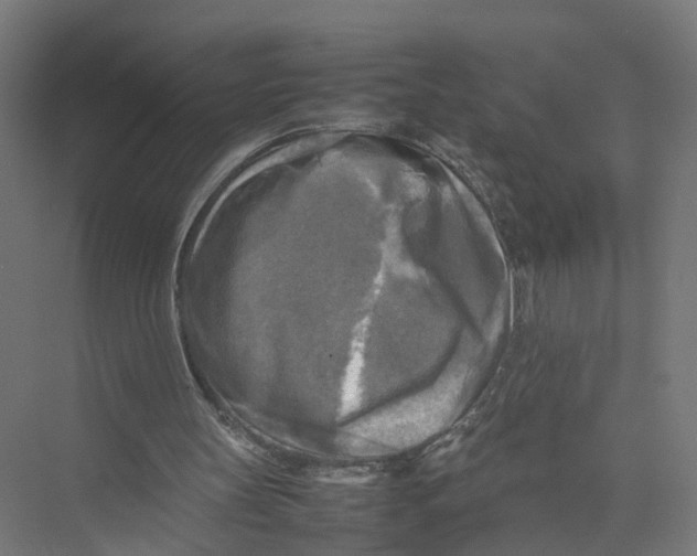 X0000075380147200610061848