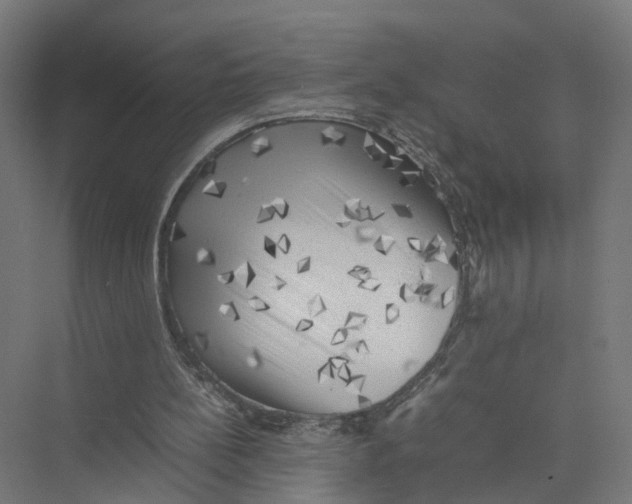 X0000075380148200610061848