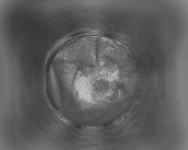 X0000075380149200610061848