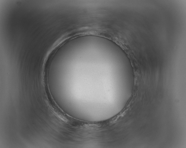 X0000075380150200610061848