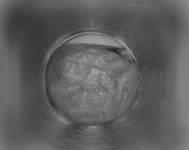 X0000075380151200610061848