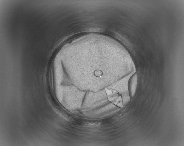 X0000075380155200610061848