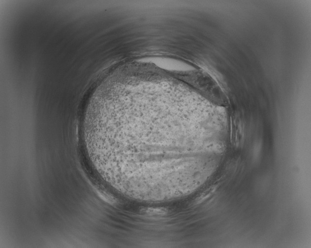 X0000075380157200610061848