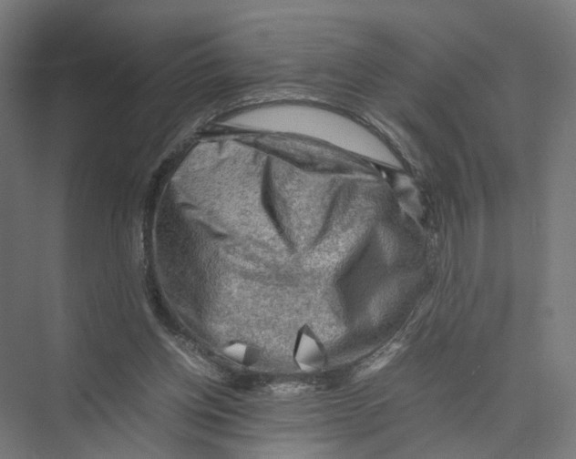 X0000075380158200610061848