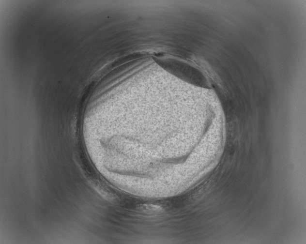 X0000075380159200610061848