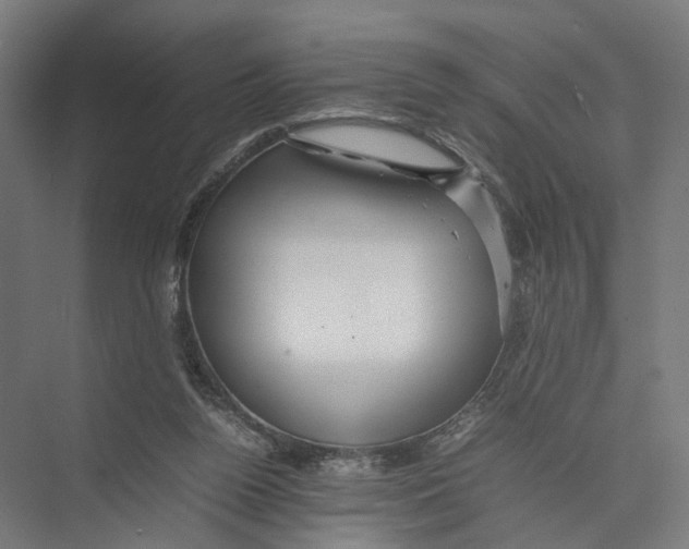 X0000075380160200610061848