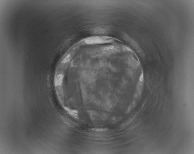 X0000075380161200610061848