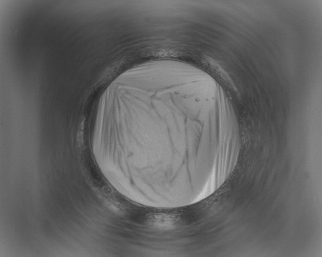 X0000075380163200610061848