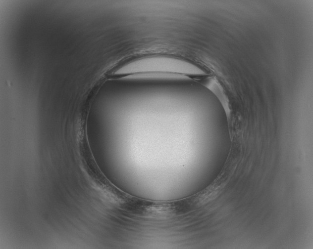 X0000075380164200610061848