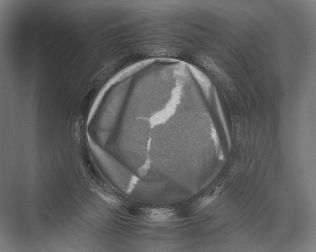 X0000075380165200610061848