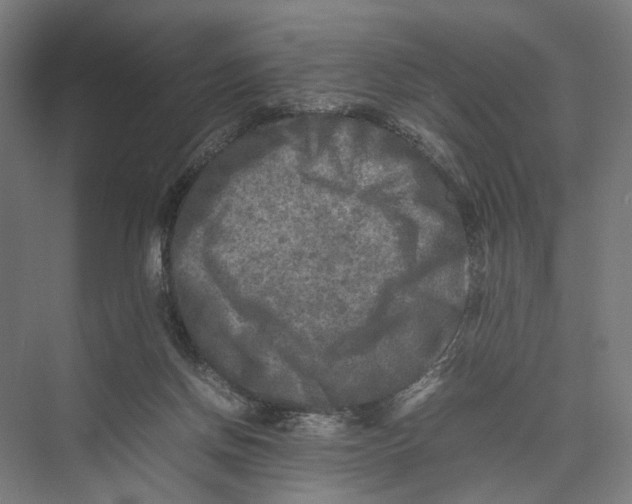 X0000075380166200610061848