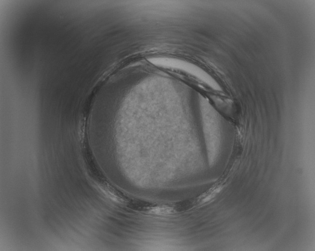 X0000075380168200610061848