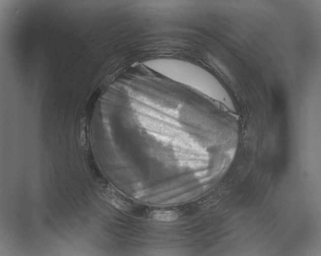 X0000075380169200610061848