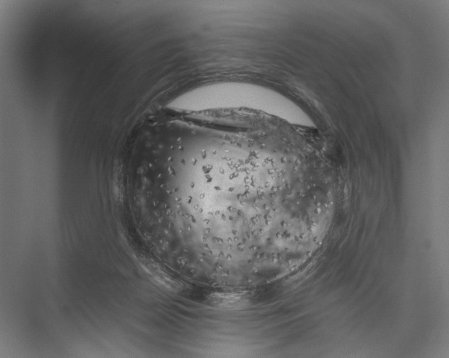 X0000075380170200610061848