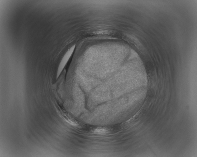 X0000075380171200610061848