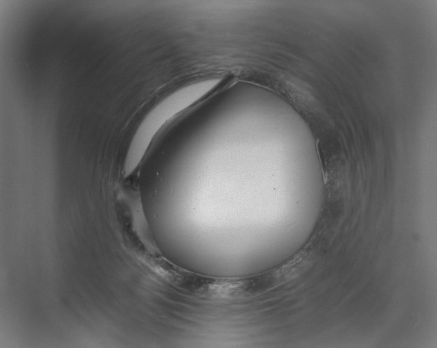 X0000075380172200610061848